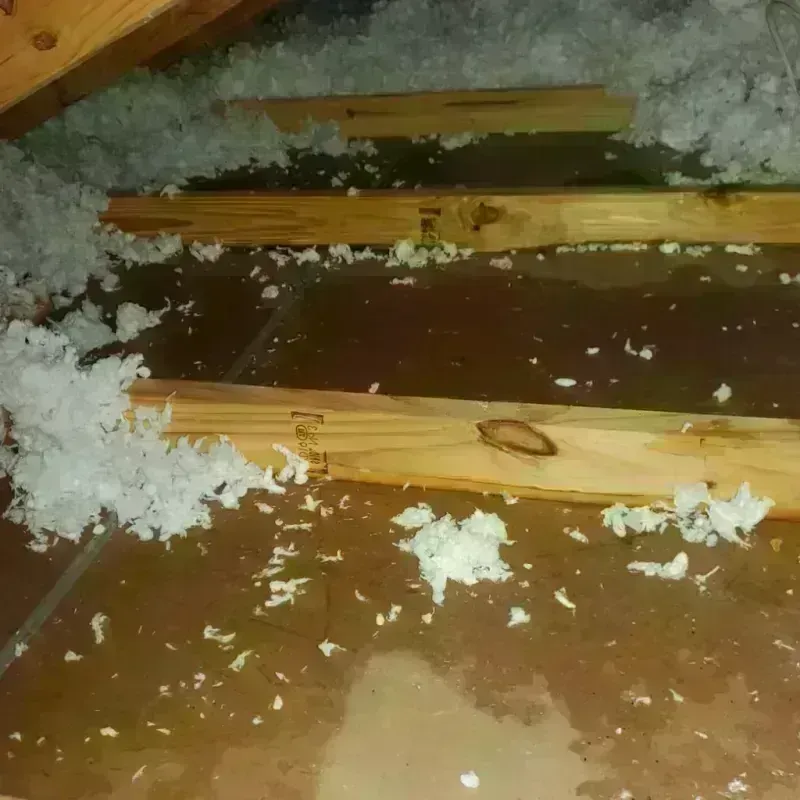 Attic Water Damage in Storey County, NV