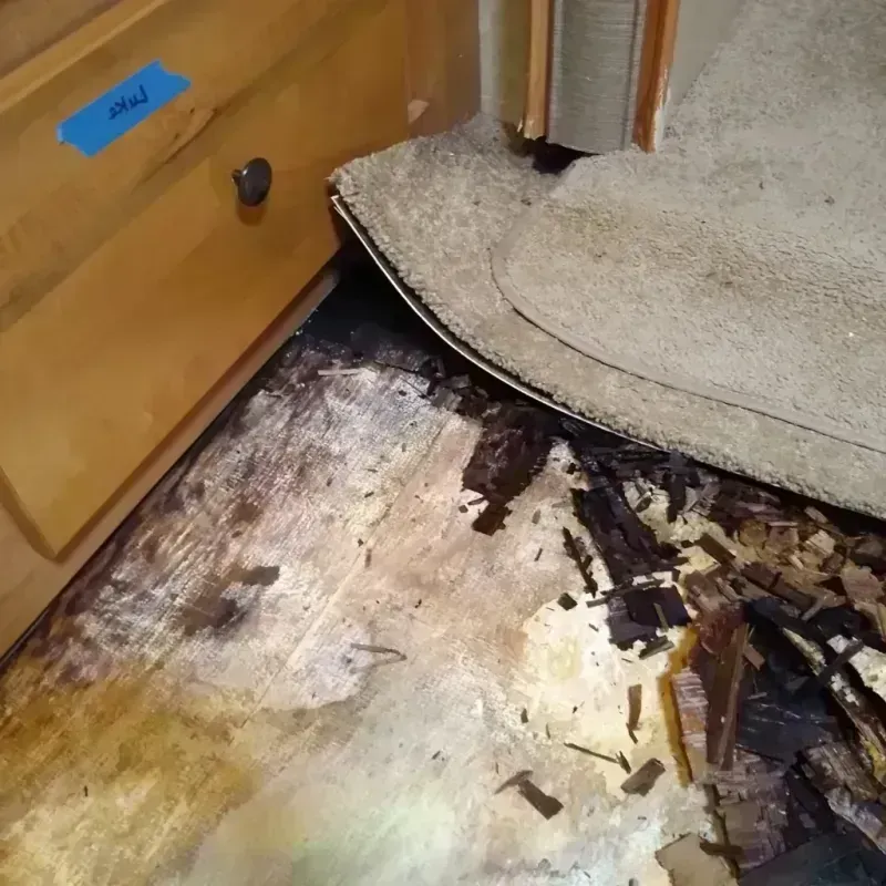 Wood Floor Water Damage in Storey County, NV